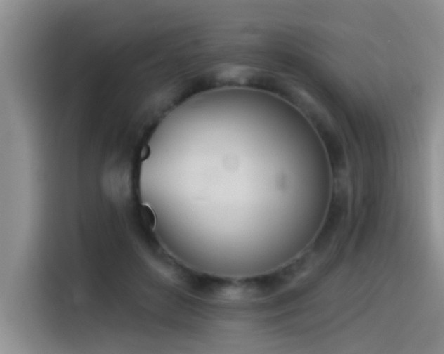 X0000114550504200910191414