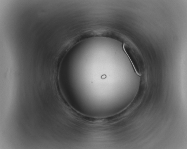 X0000114550505200910191414