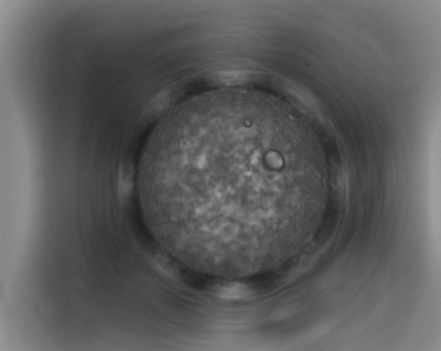 X0000114550507200910191414