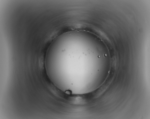 X0000114550509200910191414