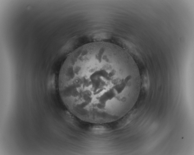 X0000114550519200910191414