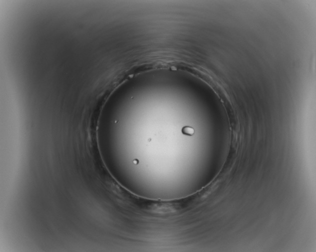 X0000114550520200910191414