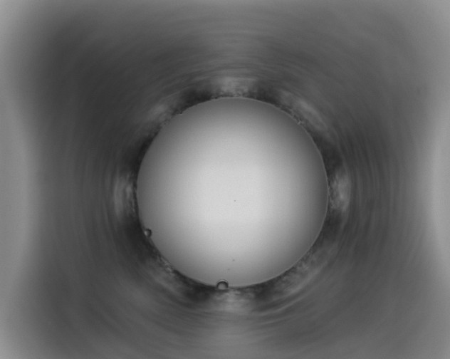 X0000114550522200910191414