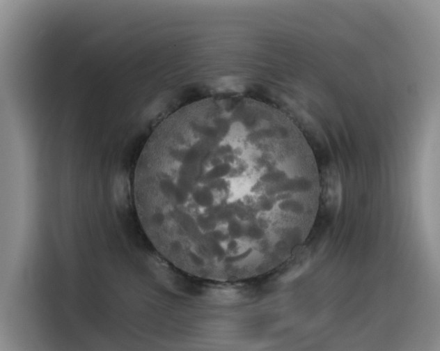 X0000114550523200910191414