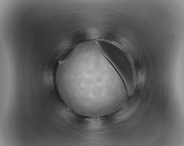 X0000114550524200910191414
