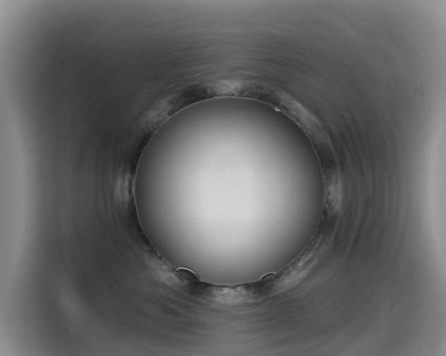 X0000114550525200910191414
