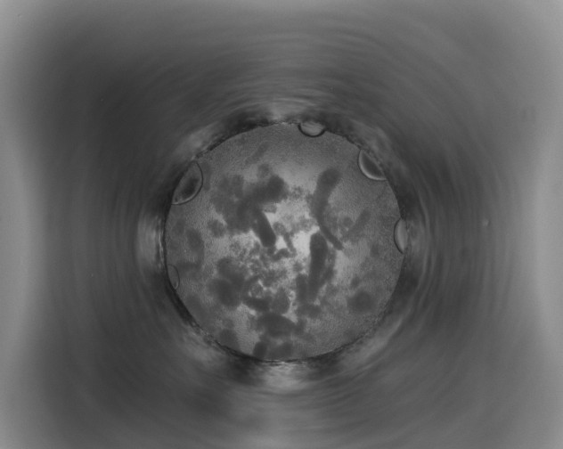 X0000114550527200910191414