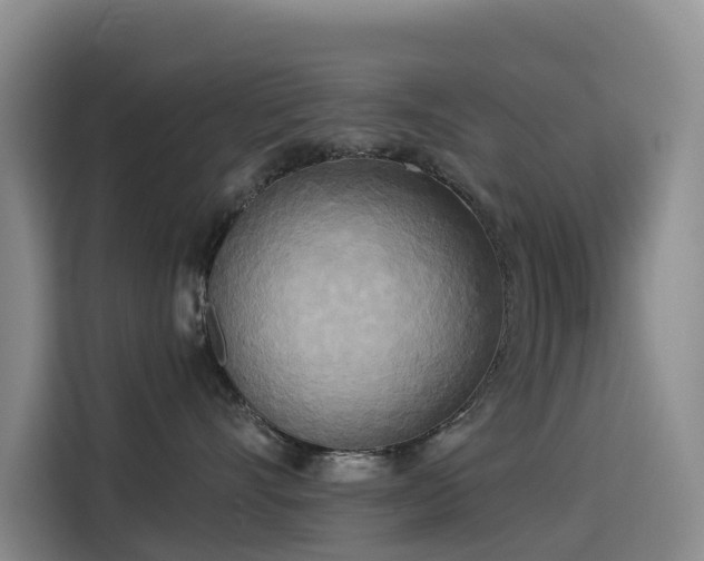 X0000114550528200910191414