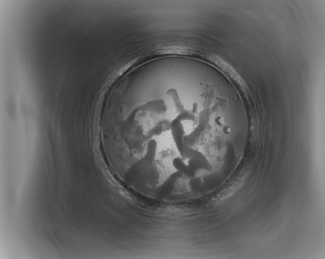 X0000114550529200910191413