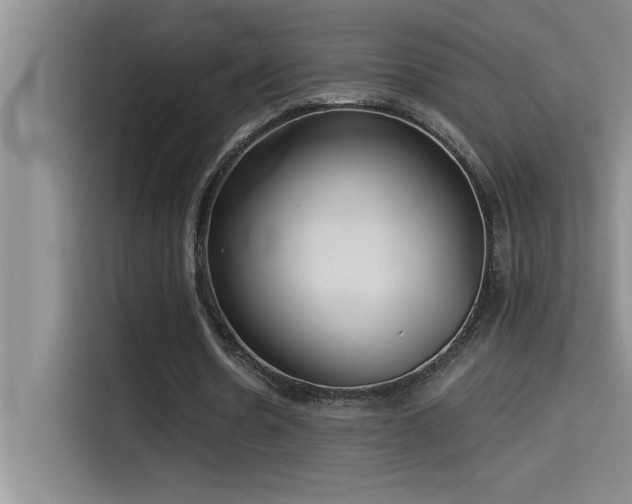 X0000114550530200910191413