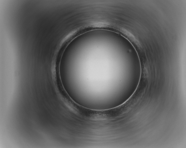 X0000114550535200910191413