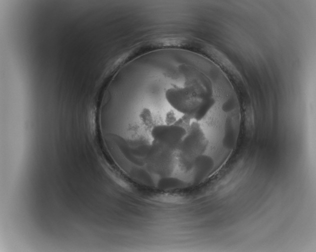 X0000114550537200910191413
