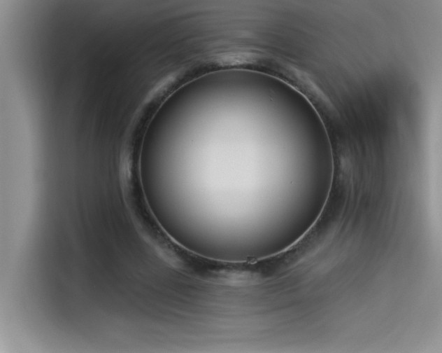 X0000114550539200910191413