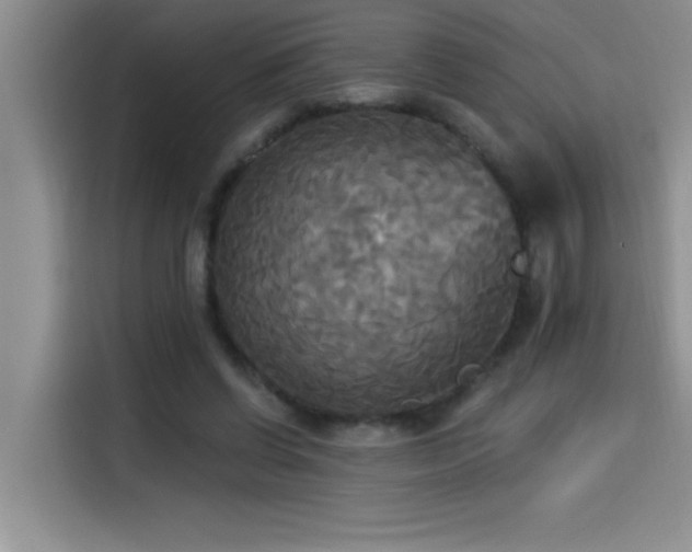 X0000114550542200910191413