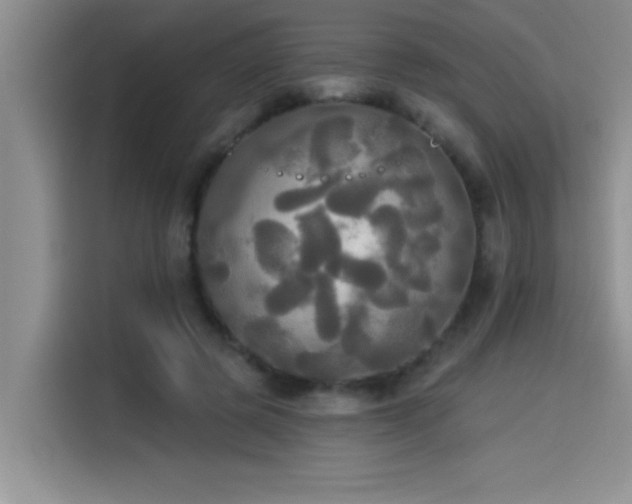 X0000114550545200910191413