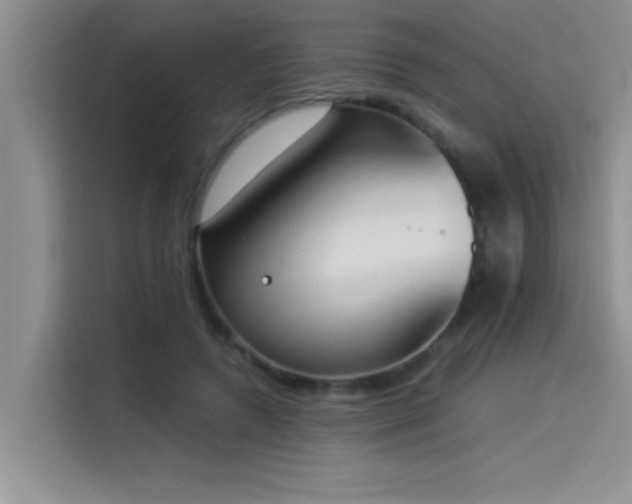 X0000114550546200910191413