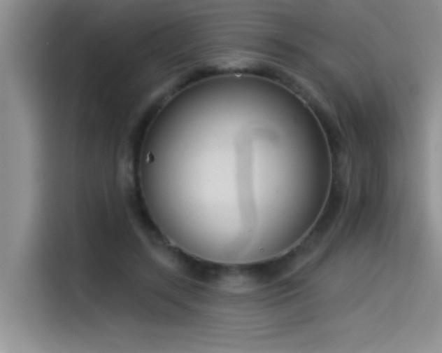 X0000114550547200910191413