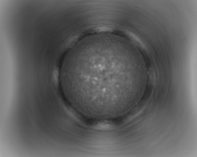 X0000114550550200910191413