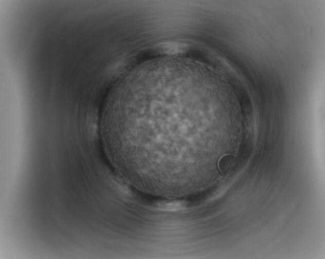 X0000114550553200910191413
