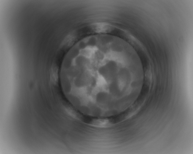 X0000114550554200910191413