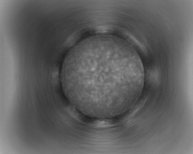 X0000114550557200910191413