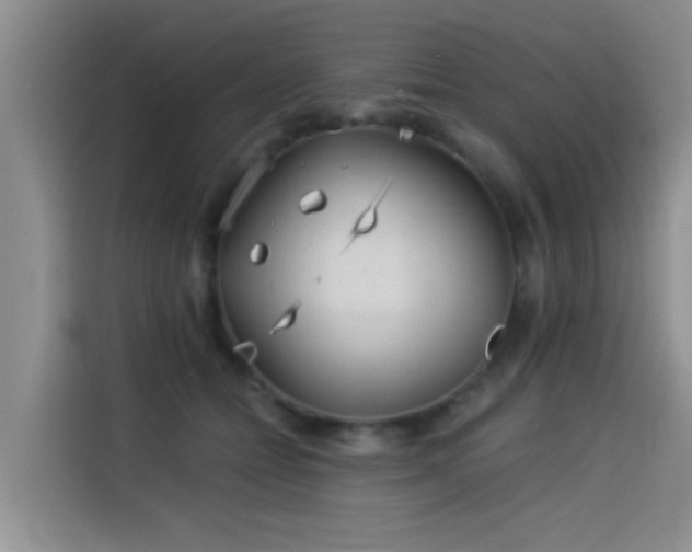 X0000114550558200910191413