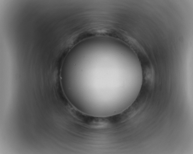 X0000114550559200910191413