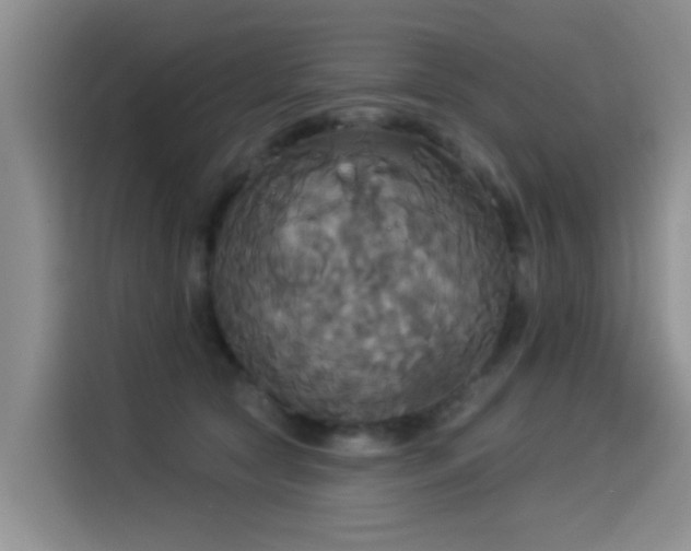 X0000114550561200910191413