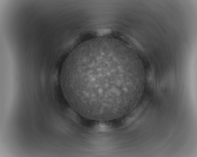X0000114550565200910191413