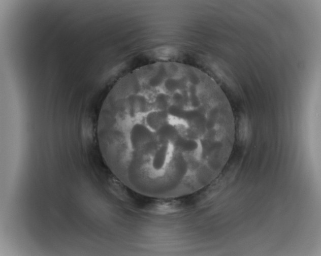 X0000114550569200910191414