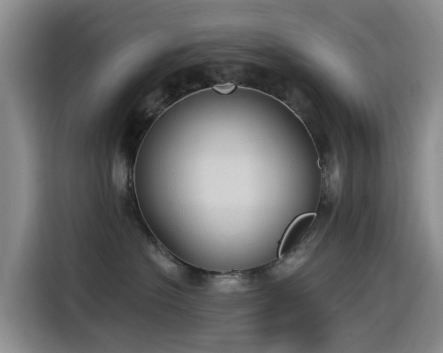 X0000114550574200910191414