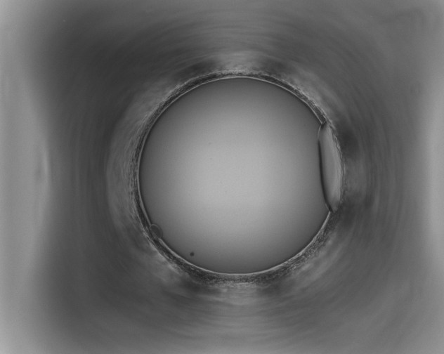 X0000114550577200910191413