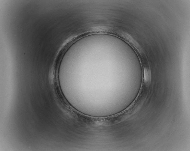 X0000114550579200910191413