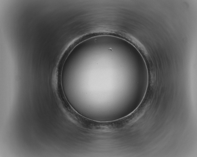 X0000114550580200910191413