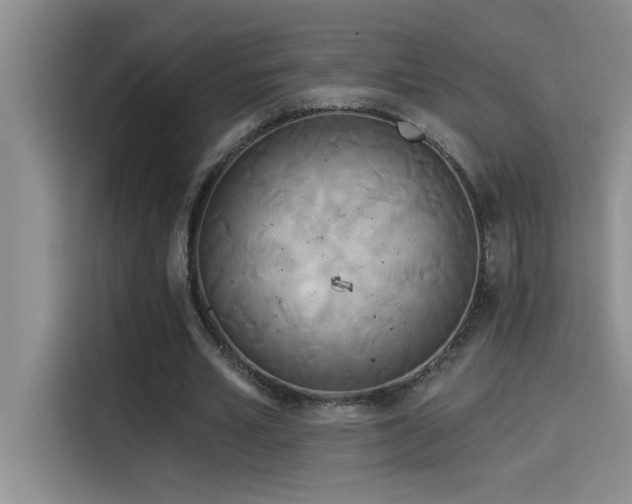 X0000114550581200910191413