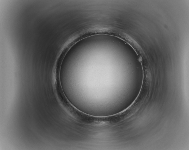 X0000114550582200910191413