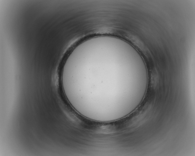 X0000114550584200910191413