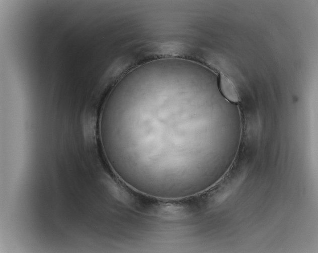 X0000114550585200910191413