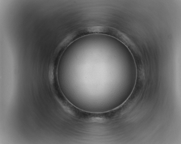 X0000114550586200910191413
