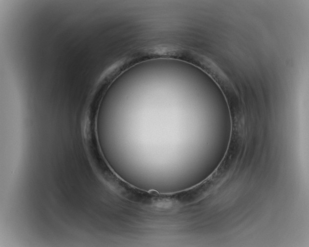 X0000114550587200910191413