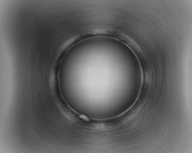 X0000114550588200910191413