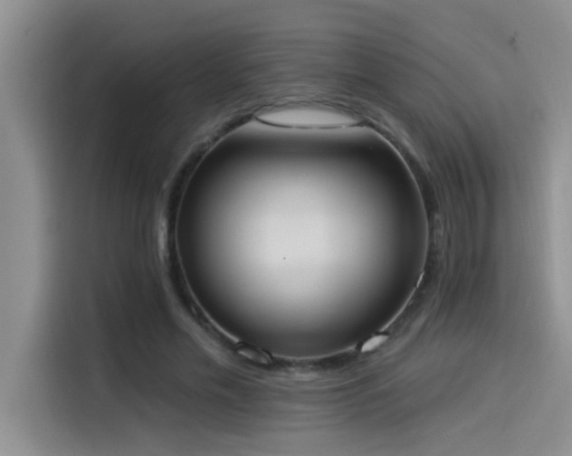 X0000114550589200910191413