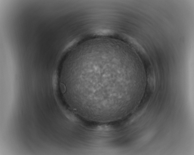 X0000114550591200910191413