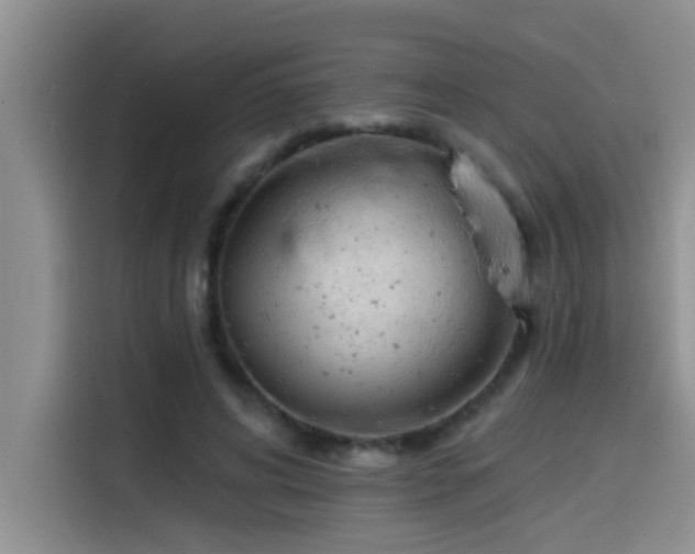 X0000114550592200910191413