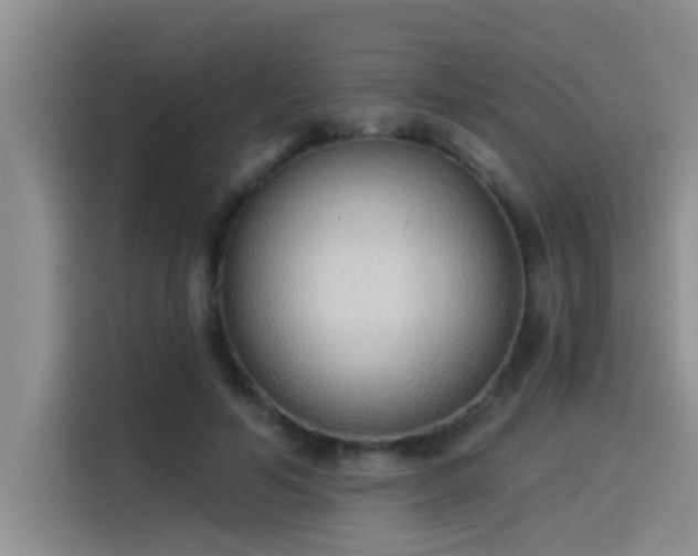 X0000114550594200910191413