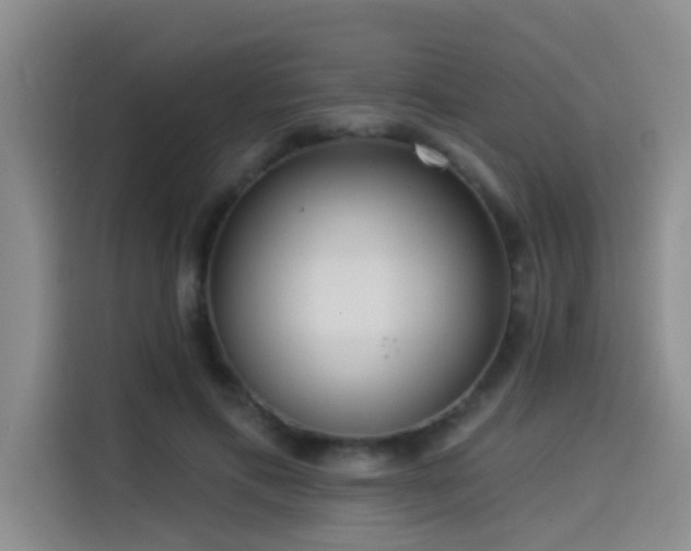X0000114550597200910191413