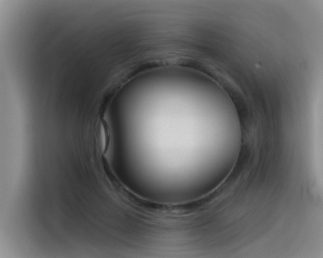 X0000114550599200910191413