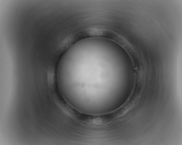 X0000114550600200910191413