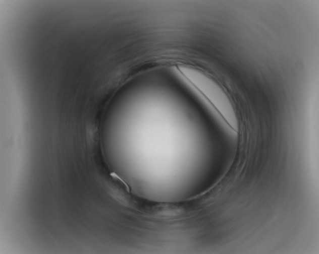X0000114550601200910191413