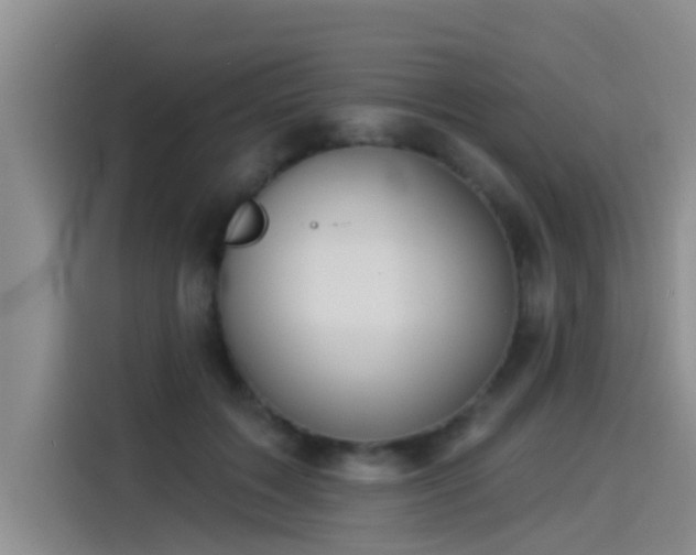 X0000114550603200910191413
